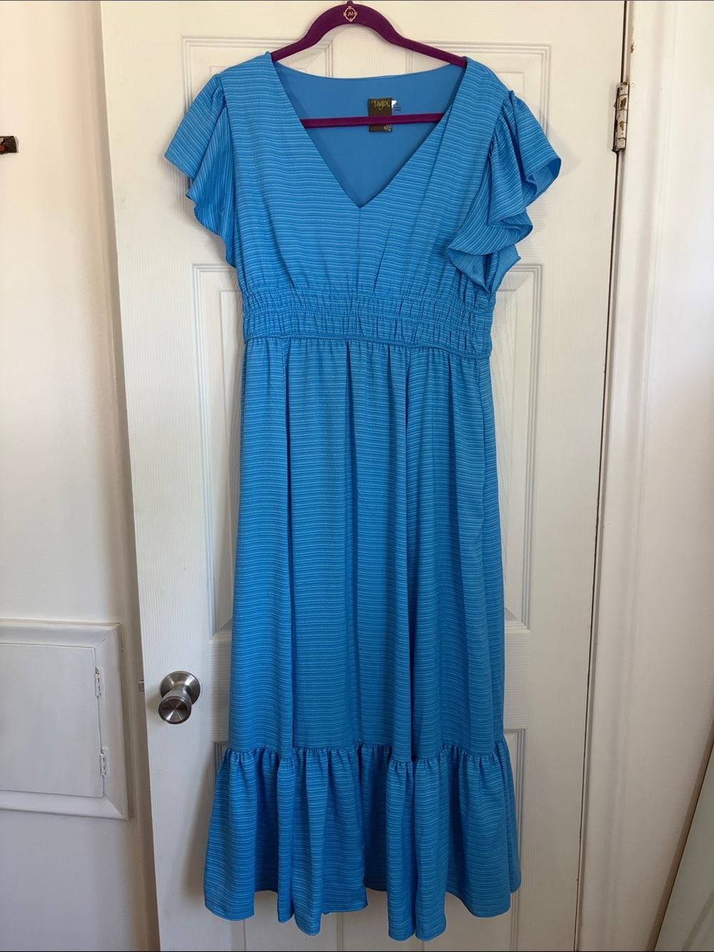 Taylor Blue Ruffle Sleeve Casual Dress